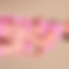 Frisky Cat/Images/H