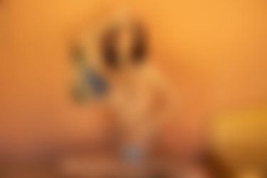 [PH] 2023-05/24 Shaky - Orange And The New Black/10l.jpg