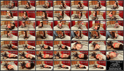 www.bondagejunkies.com~videos~minipack_008/thumbs/bjv-1372-1~vivian~vivian_vs._the_turtle_trap~2014-12-07~00.11.10.mp4.jpg