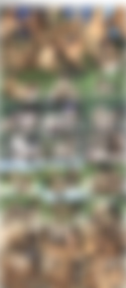 T-Girls On Film Part 5/Screens/tg83s.jpg