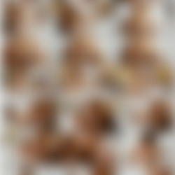 GirlsDoPorn E508 4k