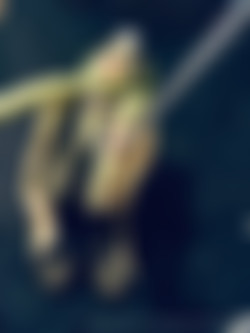 [OnlyFans.com] PeonyFelicity - Update May 5 2023/Images/2320x3088_34de9e0a8ee6182bb0f40d112b7764c0.jpg