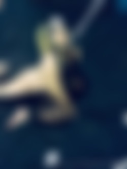 [OnlyFans.com] PeonyFelicity - Update May 5 2023/Images/2320x3088_65140db5c68ad40a2987237d6a0a7fb5.jpg
