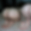 trueamateurmodels part-9/krystal-remilia-01/2000watermarked
