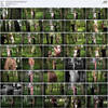 Subspaceland.com Collection thumbnail