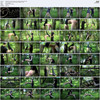 Subspaceland.com Collection thumbnail