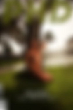 photodromm.com - 2012-10/_covers/alexa - call me maybe 2.jpg