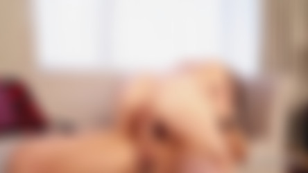 sarajay.com BG/400586SJPrincipalBradKnight.mp4