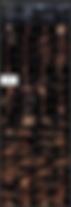 Subspaceland.com Collection/_screens/Arteya - Whining Little Slave.mp4.jpg