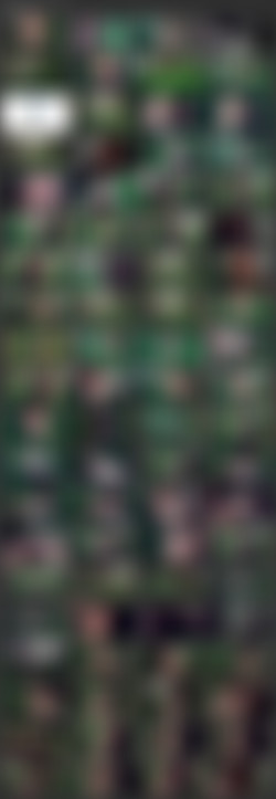 Subspaceland.com Collection/_screens/Christie Starr - Wheelbarrow Of Shame.mp4.jpg