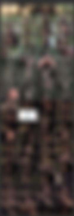 Subspaceland.com Collection/_screens/Sasha Sparrow - Punishment Day.mp4.jpg