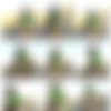 [ftvgirls.com] Photosets - 2002 to 2023-06 thumbnail