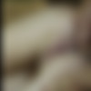 [Z-Faktor] Shitmaster Series thumbnail