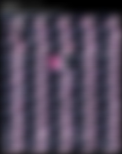 SofiaNix Chaturbate Grab Pack/sofianix_2023-10-22_05-39-43_255.jpeg