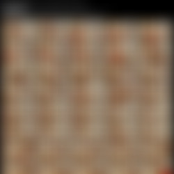 SofiaNix Chaturbate Grab Pack