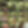 The English Mansion โข Pt.1 โข 160 Vids thumbnail