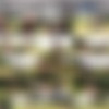 The English Mansion โข Pt.1 โข 160 Vids thumbnail