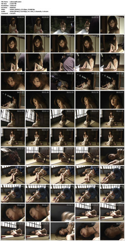 video/sakuragi01.jpg