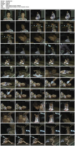 video/fujisaki01.jpg