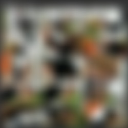WTFPass.com Network SiteRip - Part #3/Panda Fuck/S/2012-Fun fucking instead of cleaning.mp4.jpg