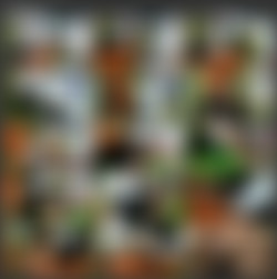 WTFPass.com Network SiteRip - Part #3/Panda Fuck/S/2012-Nasty teen has sex with toys.mp4.jpg