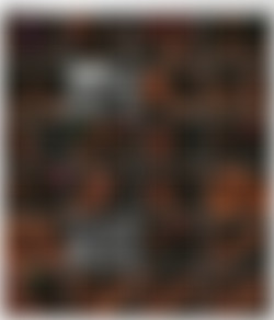 Scenes From A Bar DVD5/5. Kobe Tai, Peter North.jpg