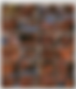 Scenes From A Bar DVD5/1. Kobe Tai, Mark Davis.jpg