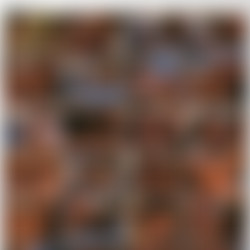 Scenes From A Bar DVD5