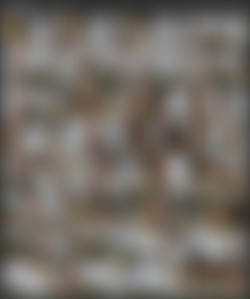 Ballbusting Auditions - Dakota Charms/Ballbusting Auditions - Dakota Charms.mp4.jpg