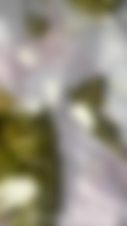 [Scatbook.com] GalacticWhorezz/after-math_10103467.mp4