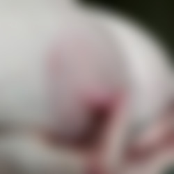 [Onlyfans.com] Cassie0pia - Cassie Pumpers.mp4
