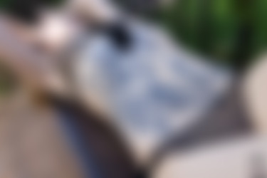 Pennyarcher/2018-09-11 - Komorebi/11.jpg