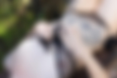 Pennyarcher/2018-09-11 - Komorebi/12.jpg