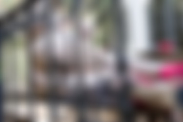 Pennyarcher/2018-09-11 - Komorebi/30.jpg