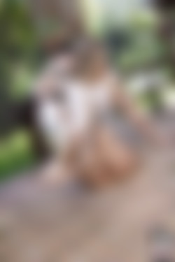 Pennyarcher/2018-09-11 - Komorebi/38.jpg