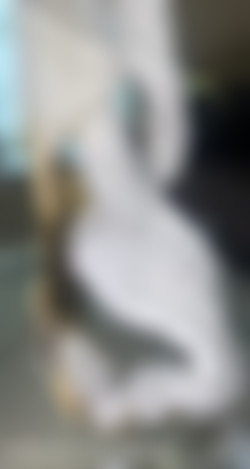 [Scatbook.com] GalacticWhorezz/360-view_10099794.mp4