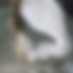 [Scatbook.com] GalacticWhorezz