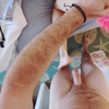 [JadeKink.com] SiteRip up to Date (108 Videos) thumbnail