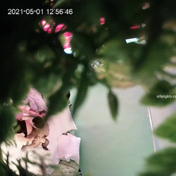 Hidden-Zone Asian Edition Pack 067 26 August 2023