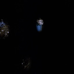 The Return of the Living Dead (1985) 1080p Bluray OPUS 5.1 AV1-WhiskeyJack.mkv